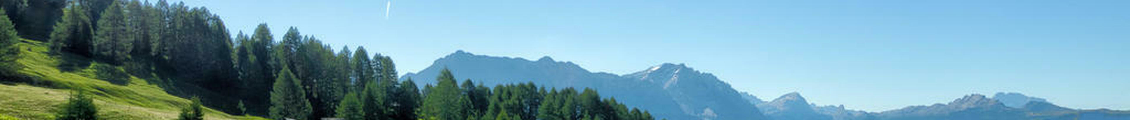 Top Image